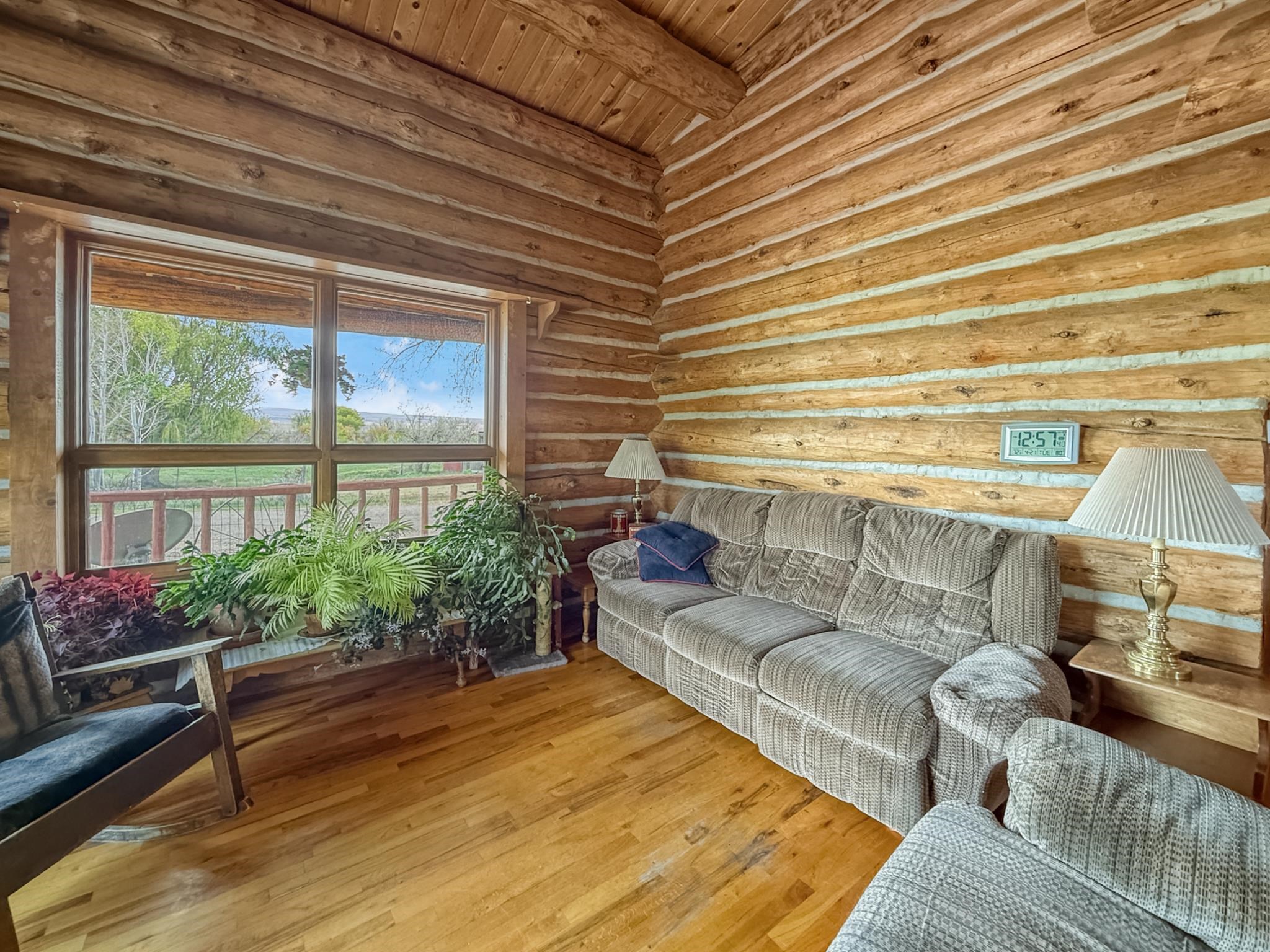 9709 3605 Road Hotchkiss, CO 81419 - Photo 35 of 42 a living room with furniture and a potted plant