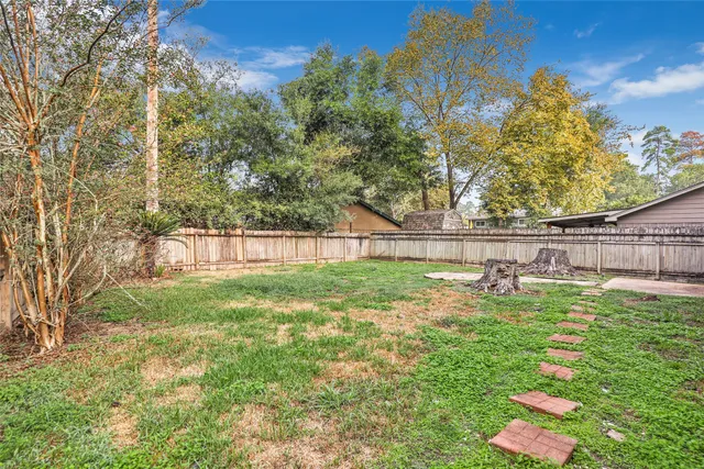 a view of backyard with green space