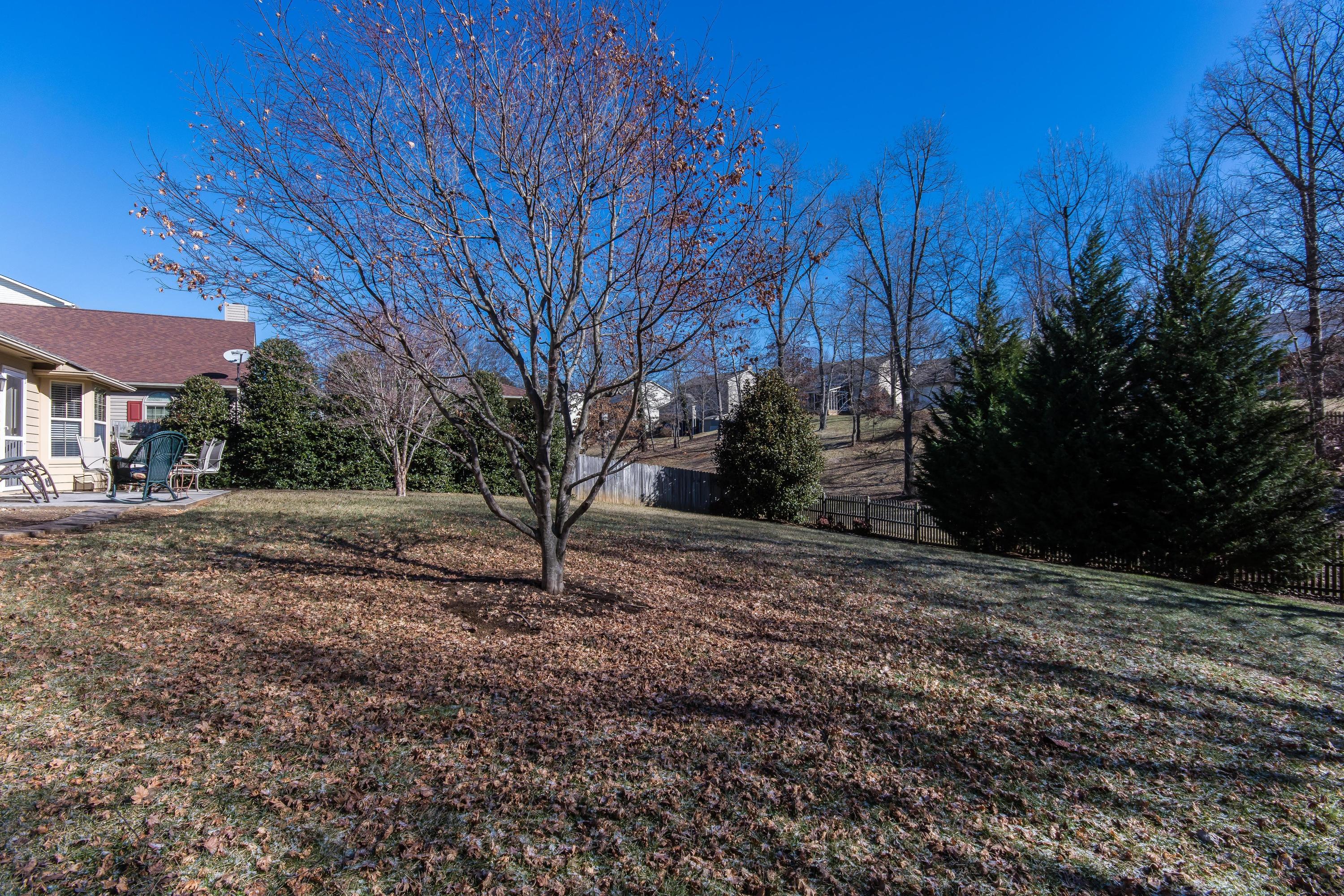 10024 Double Tree Road Knoxville, TN 37932 - Photo 28 of 32 10024 Double Tree Road-MLS_Size-030-Exte
