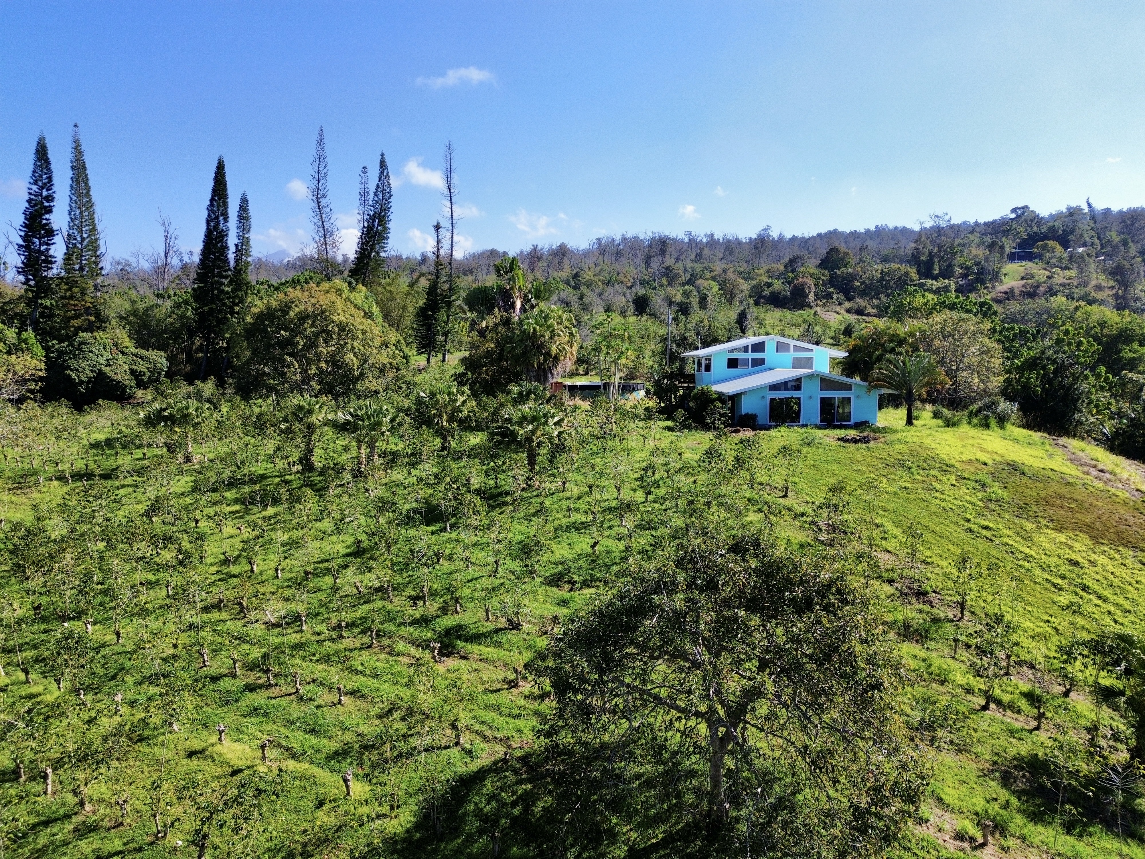 78-1337 Bishop Road Holualoa, HI 96725 - Photo 11 of 15 a view of a lake with houses in the back