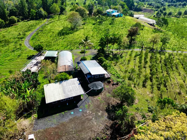 a backyard of a building with green trees
