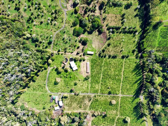 a view of a back yard