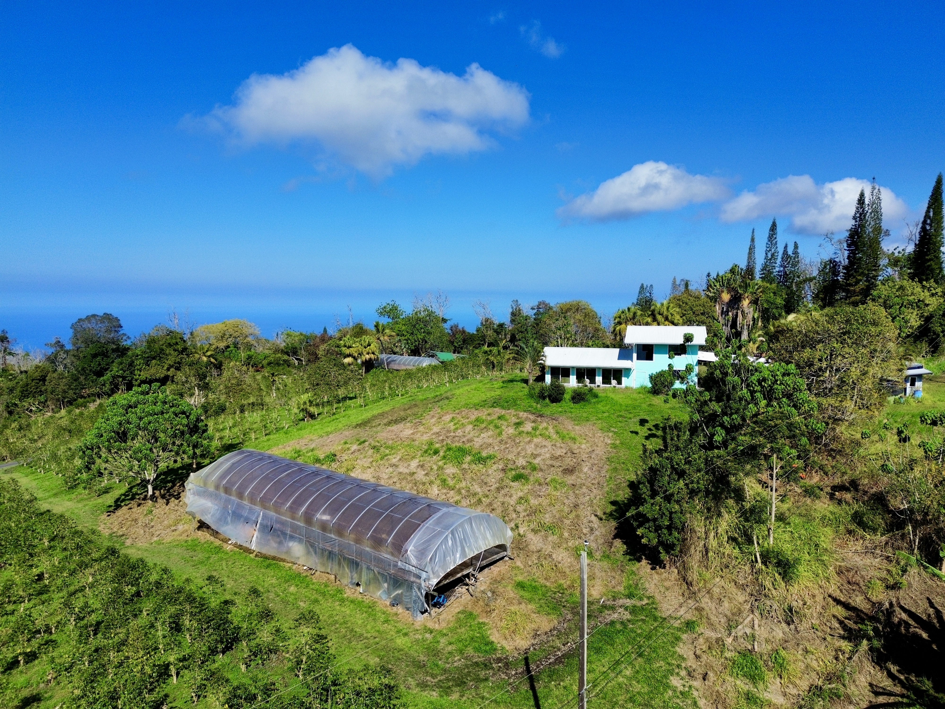 78-1337 Bishop Road Holualoa, HI 96725 - Photo 15 of 15 a view of a back yard