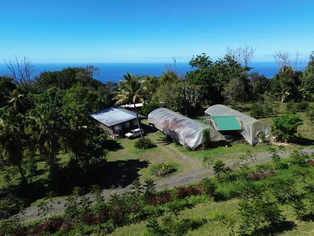 an aerial view of a house with garden space and street view