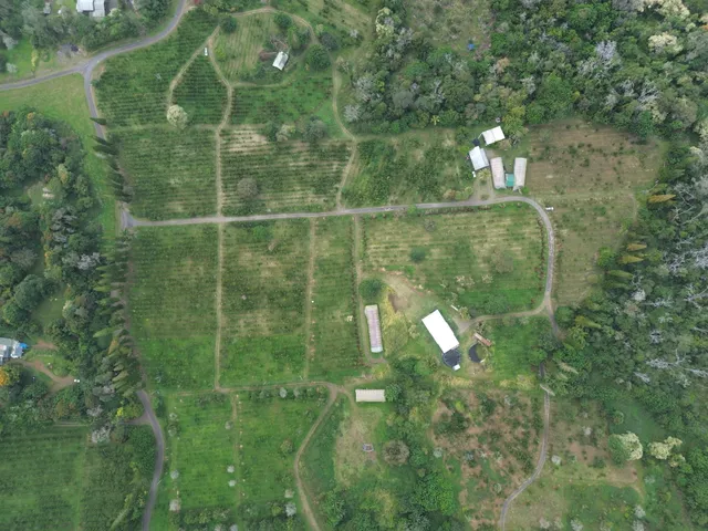 a view of a back yard