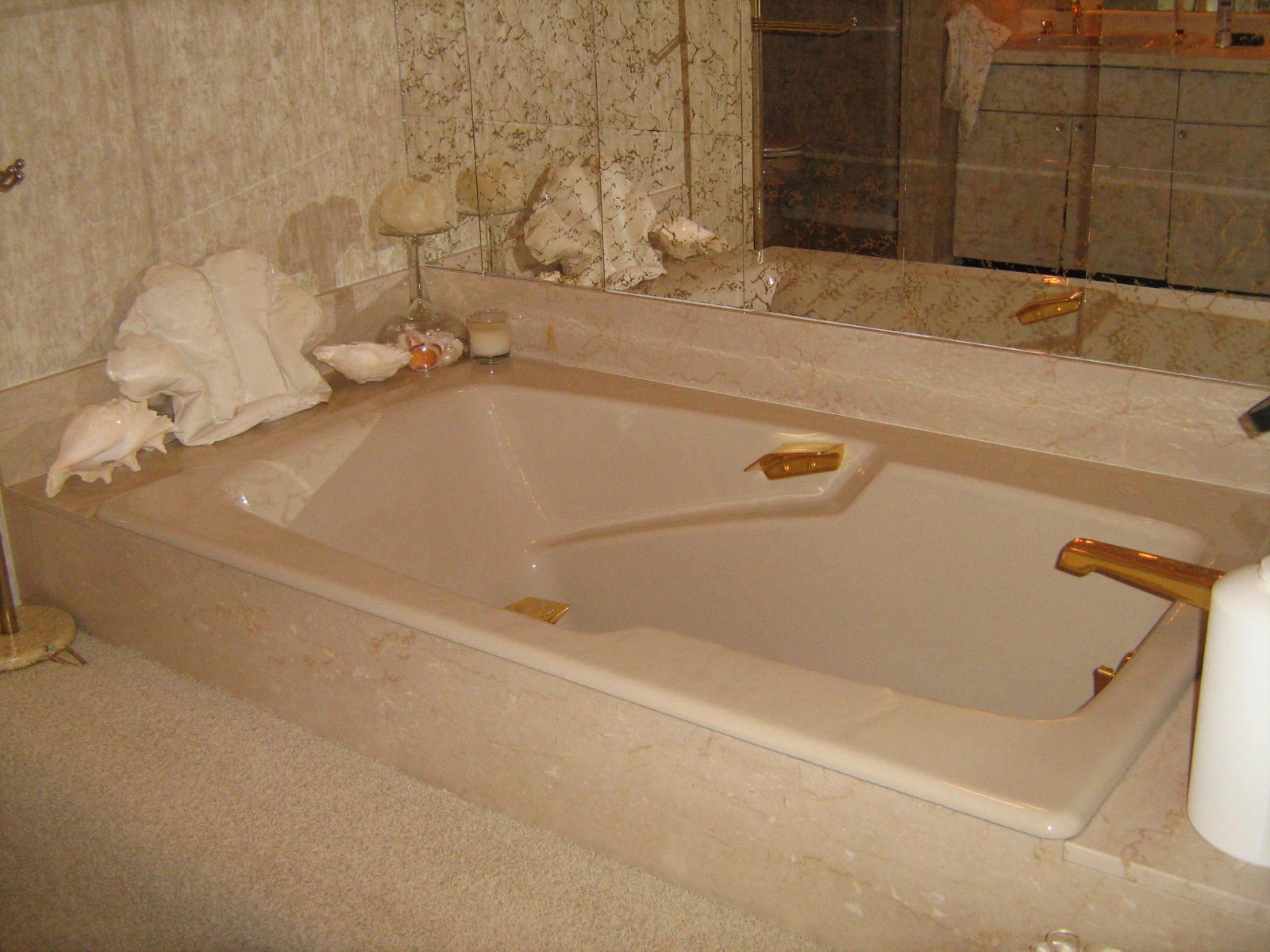 4746 Brooksview Road Lenoir City, TN 37772 - Photo 16 of 26 Master Garden Tub