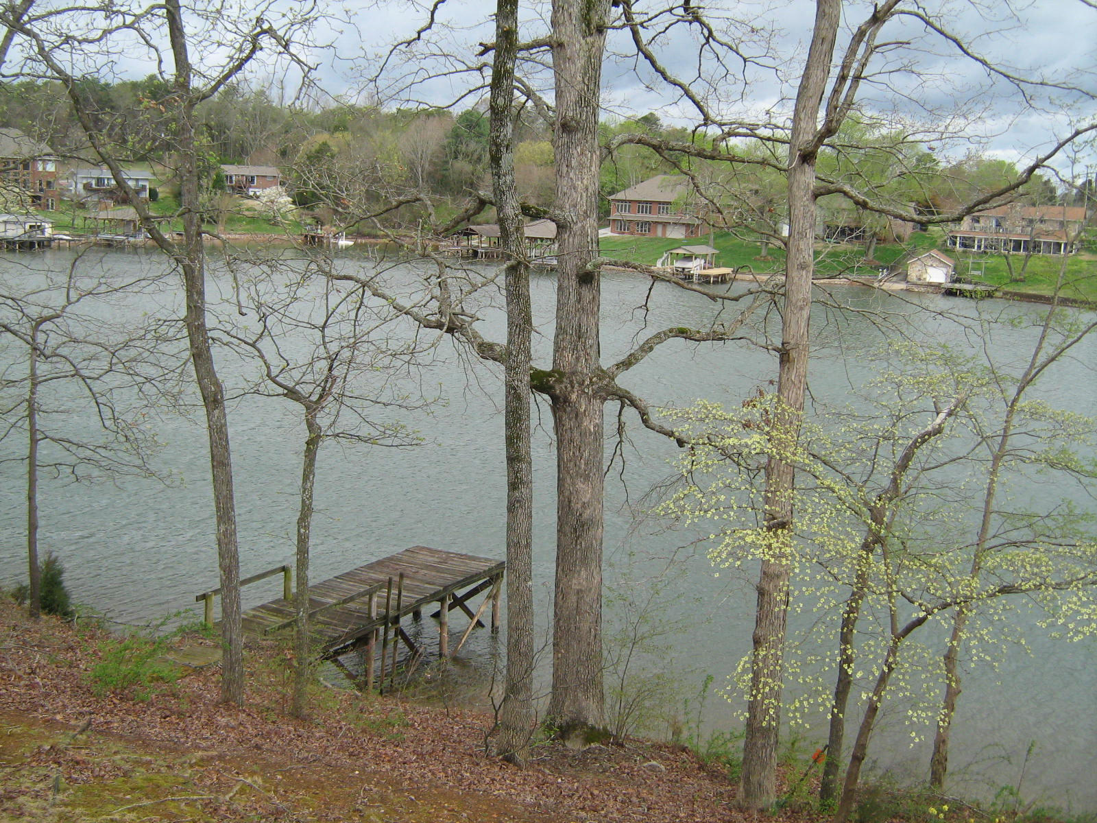 Cove View from Deck