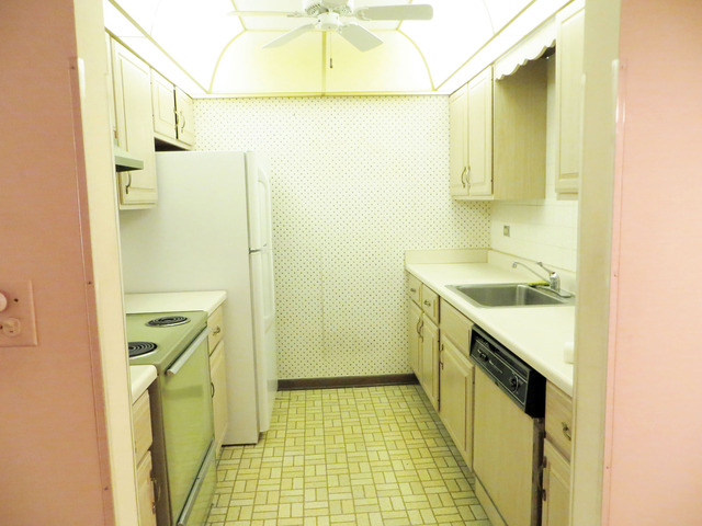 2600 Windsor Mall, Unit 3A Park Ridge, IL 60068 - Photo 12 of 18 a bathroom with a sink and a mirror