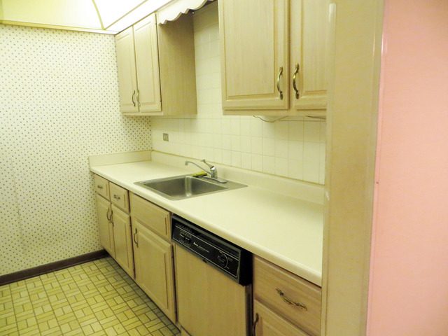 2600 Windsor Mall, Unit 3A Park Ridge, IL 60068 - Photo 13 of 18 a utility room with a sink