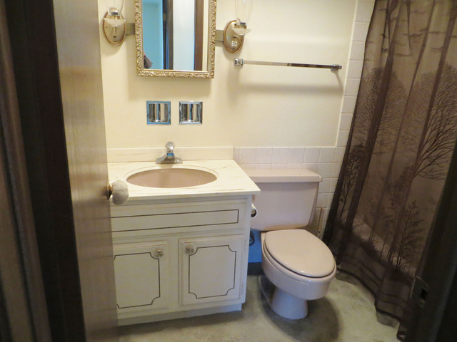 2600 Windsor Mall, Unit 3A Park Ridge, IL 60068 - Photo 17 of 18 a bathroom with a sink a toilet and a mirror
