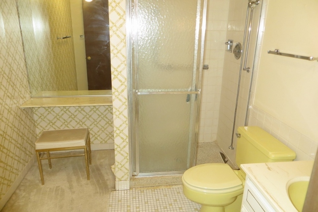 2600 Windsor Mall, Unit 3A Park Ridge, IL 60068 - Photo 18 of 18 a bathroom with a toilet and a shower