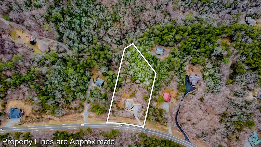 3680 Aska Road Blue Ridge, GA 30513 - Photo 37 of 42 Gallery Image 37
