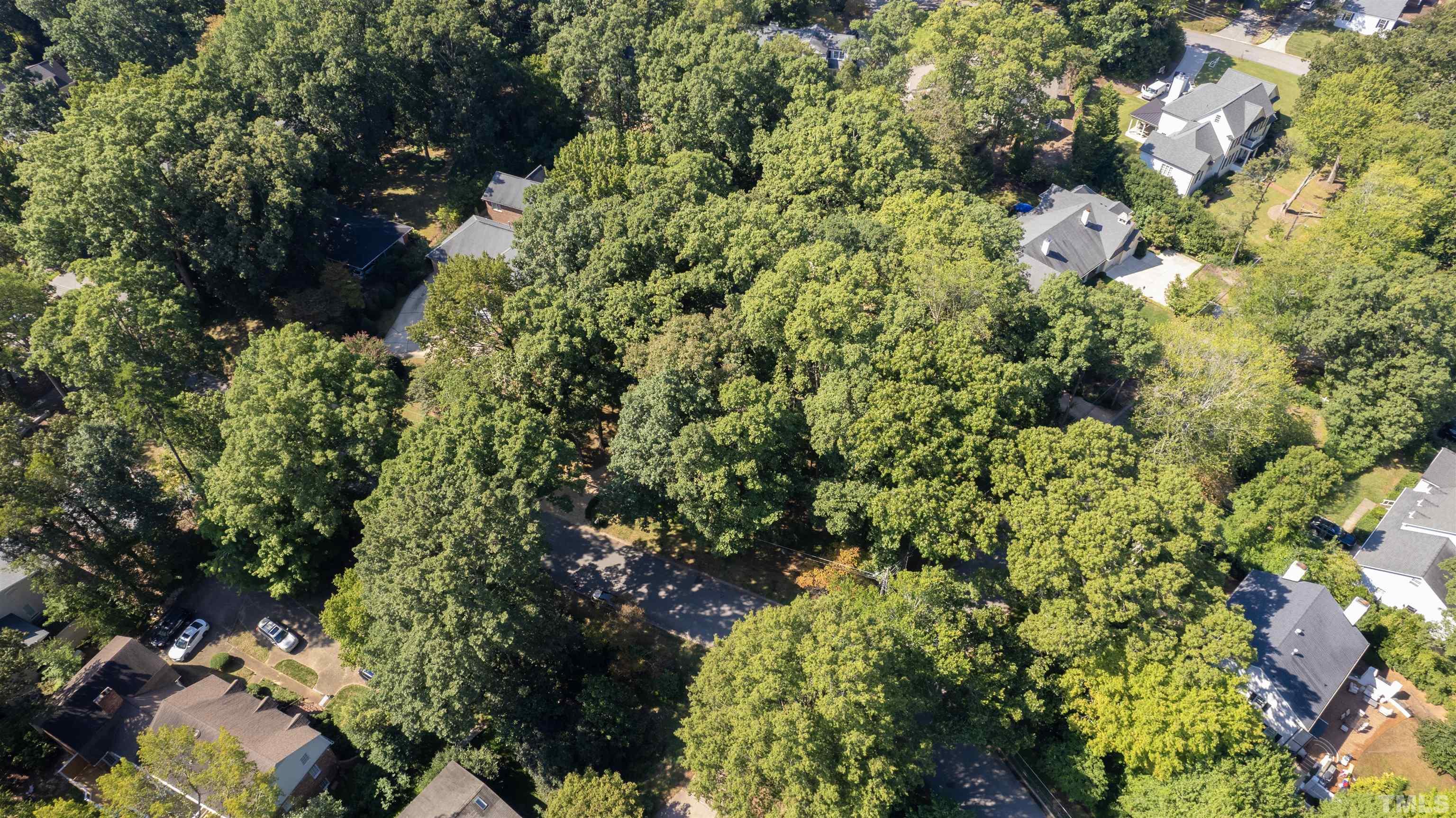 3231 Sussex Road Raleigh, NC 27607 - Photo 60 of 60 a view of a garden with plants