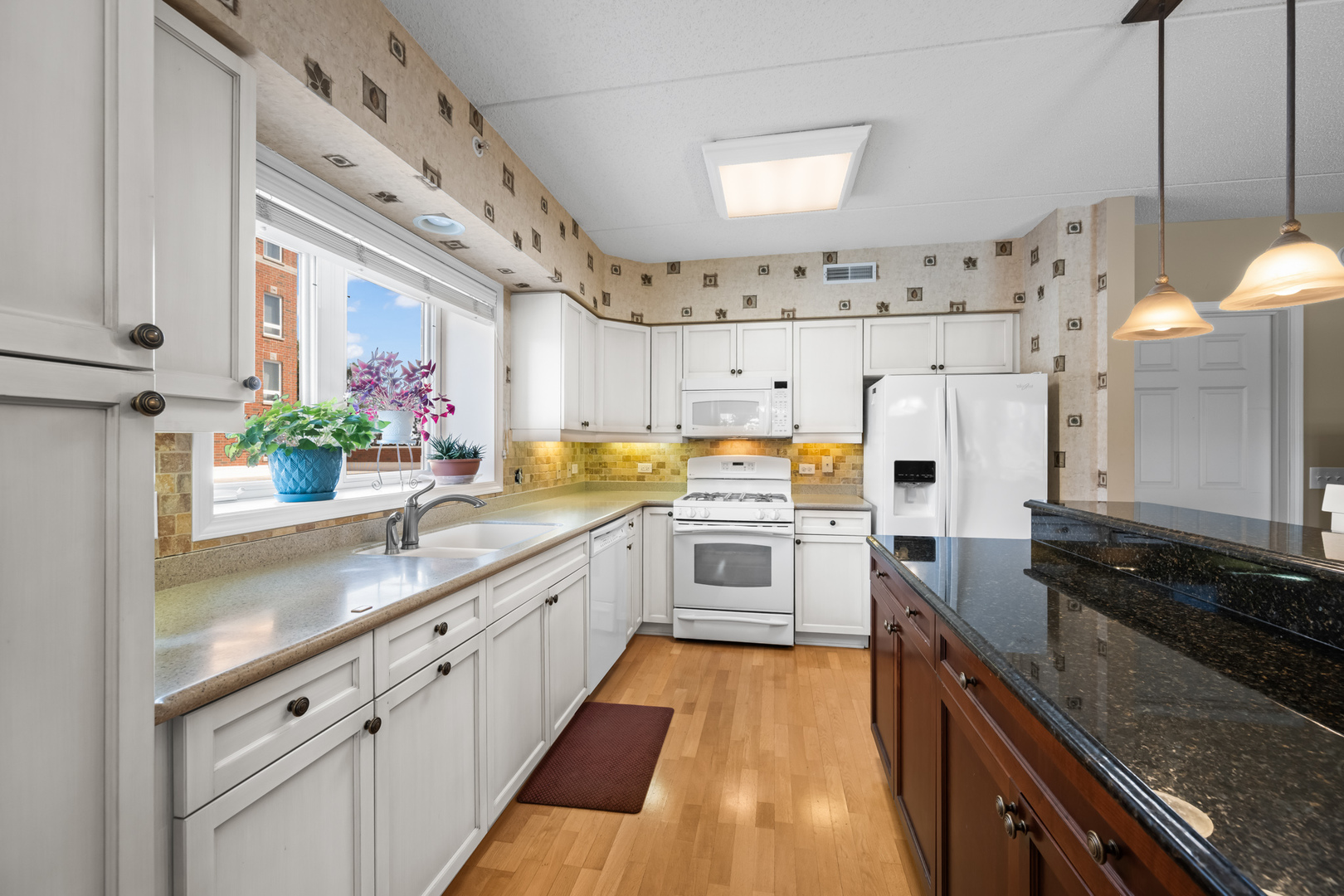 395 Graceland Avenue, Unit 207 Des Plaines, IL 60016 - Photo 7 of 16