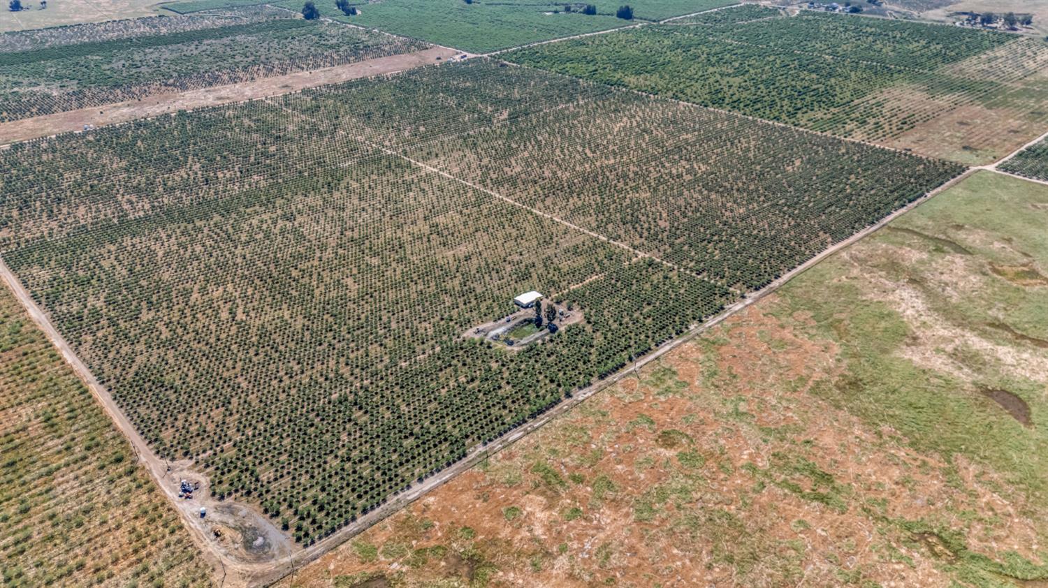 0 Buchanan Hollow Road Le Grand, CA 95333 - Photo 12 of 40 a view of a yard with plants