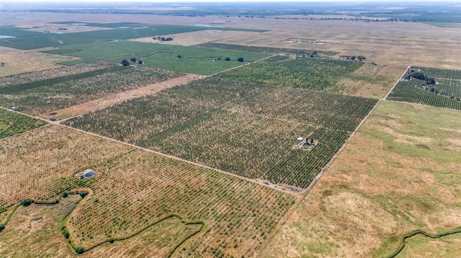0 Buchanan Hollow Road Le Grand, CA 95333 - Photo 25 of 40 a view of a yard