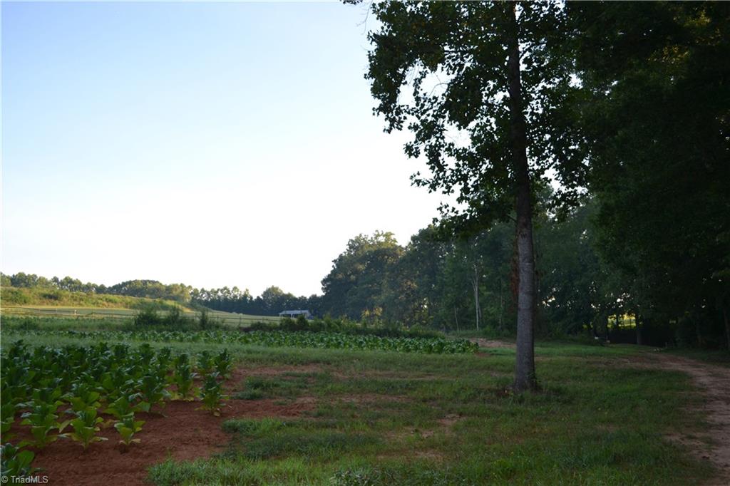 5218 Williard Road Oak Ridge, NC 27310 - Photo 11 of 16