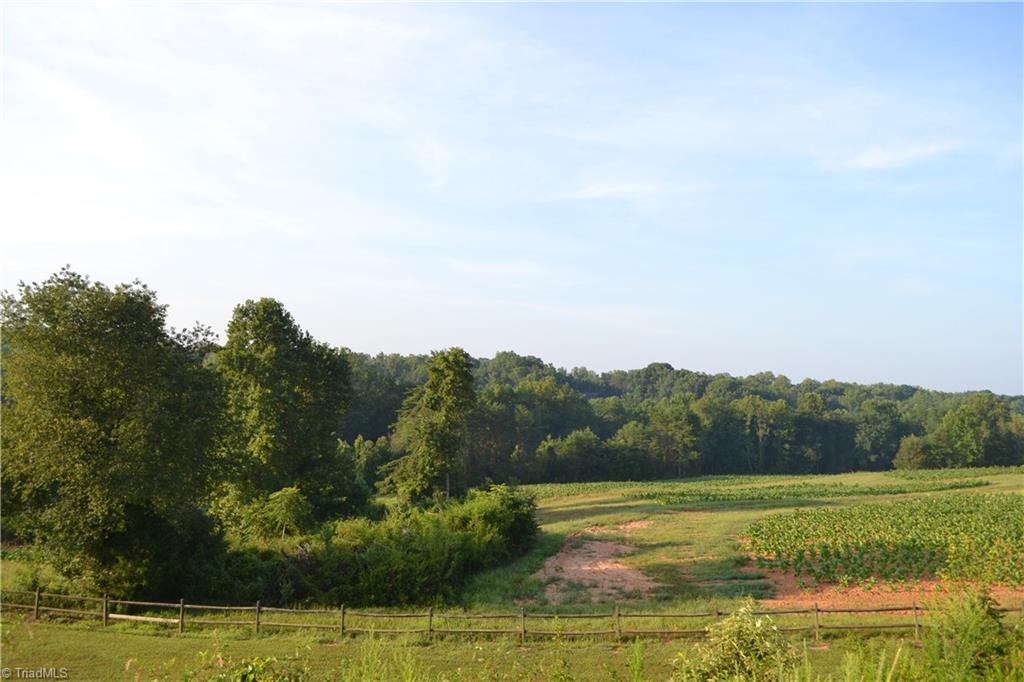 5218 Williard Road Oak Ridge, NC 27310 - Photo 13 of 16