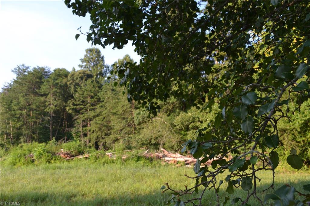 5218 Williard Road Oak Ridge, NC 27310 - Photo 15 of 16