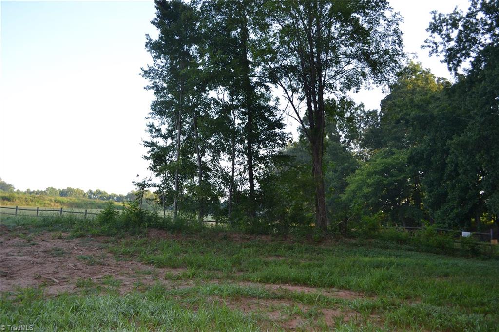 5218 Williard Road Oak Ridge, NC 27310 - Photo 6 of 16