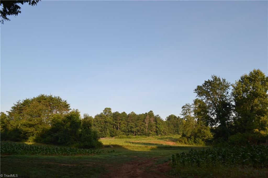 5218 Williard Road Oak Ridge, NC 27310 - Photo 7 of 16