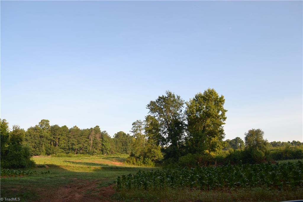 5218 Williard Road Oak Ridge, NC 27310 - Photo 8 of 16