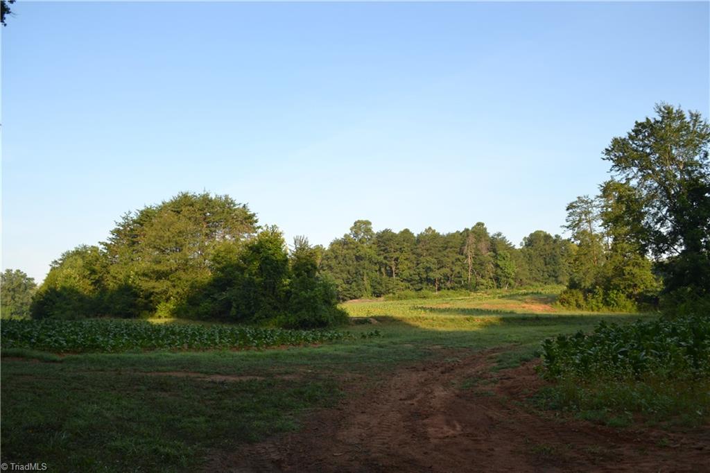 5218 Williard Road Oak Ridge, NC 27310 - Photo 9 of 16