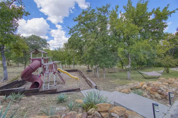 a view of a flower arrangement in backyard