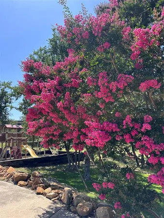 a view of outdoor space