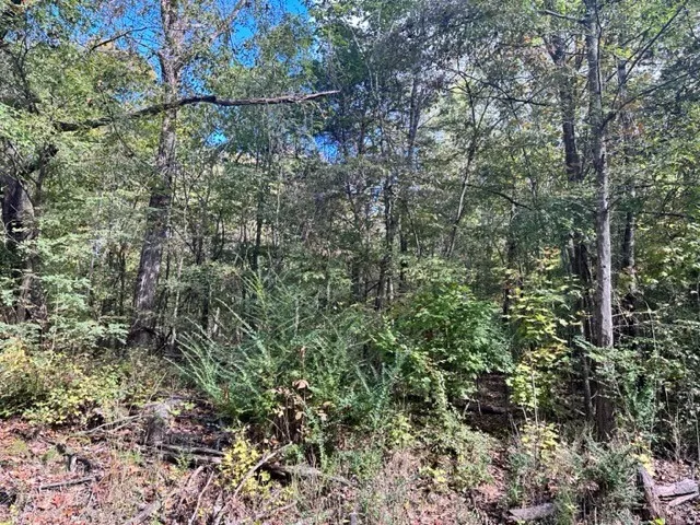 a utility room with a shower