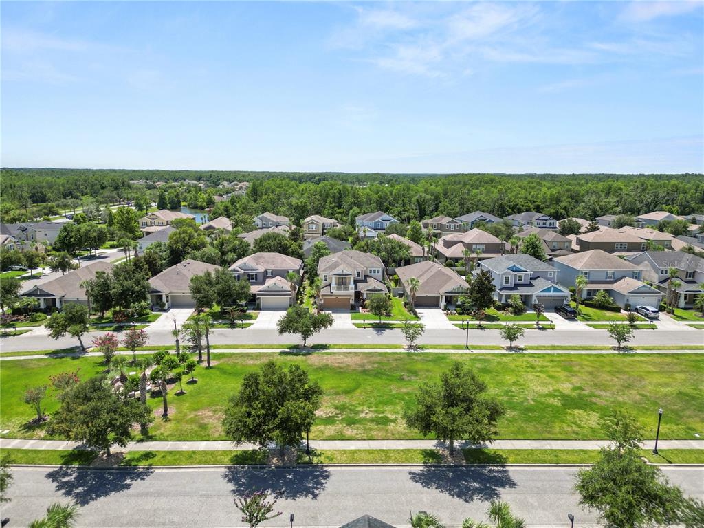 8775 Sentiero Drive Land O Lakes, FL 34637 - Photo 76 of 76
