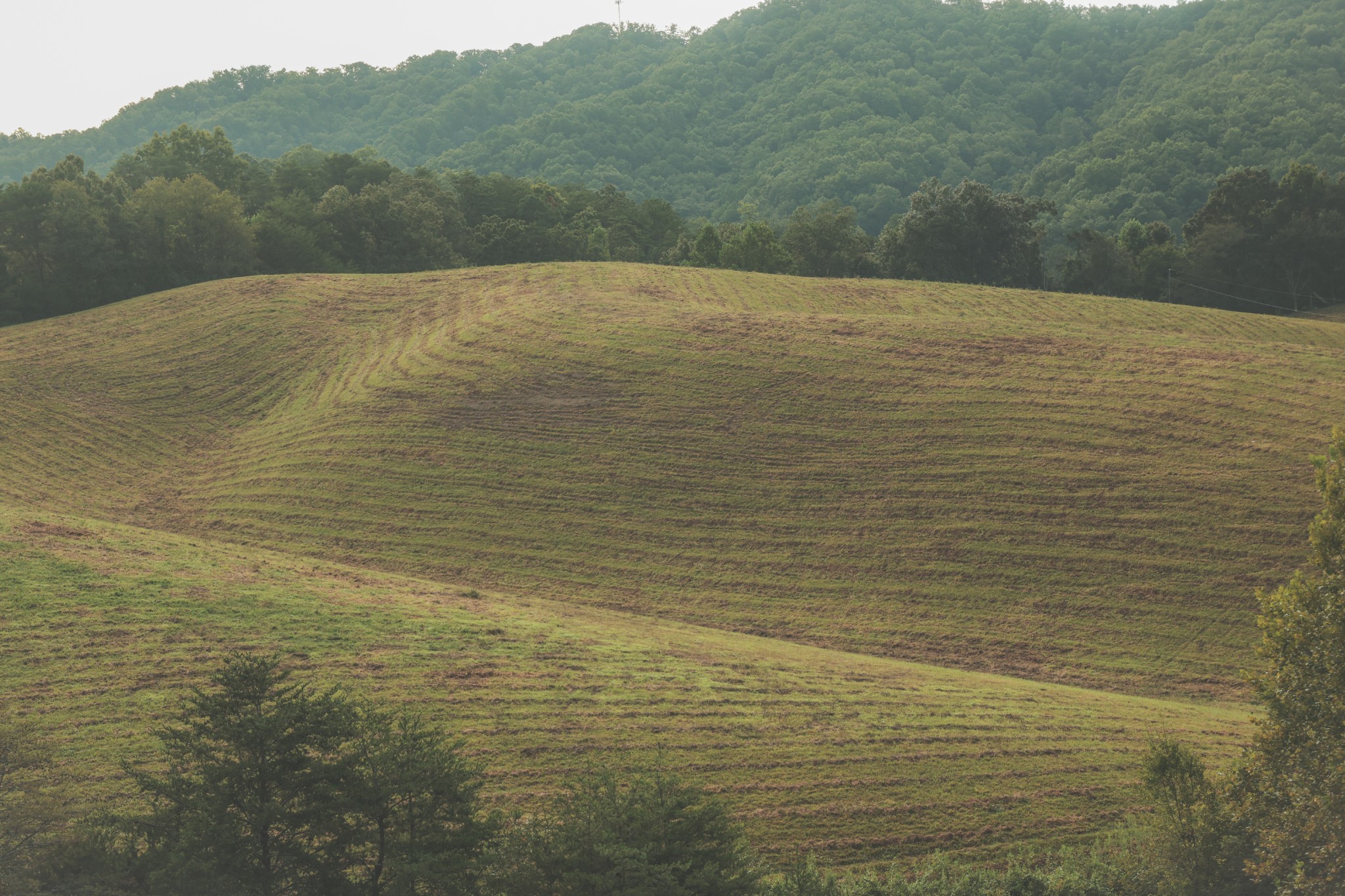 1634 Dixon Branch Road Sevierville, TN 37876 - Photo 86 of 86 Gallery Image 86