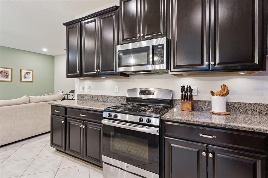 8816 Shady Pavillion Court Land O Lakes, FL 34637 - Photo 14 of 64 a kitchen with granite countertop stainless steel appliances and wooden cabinets