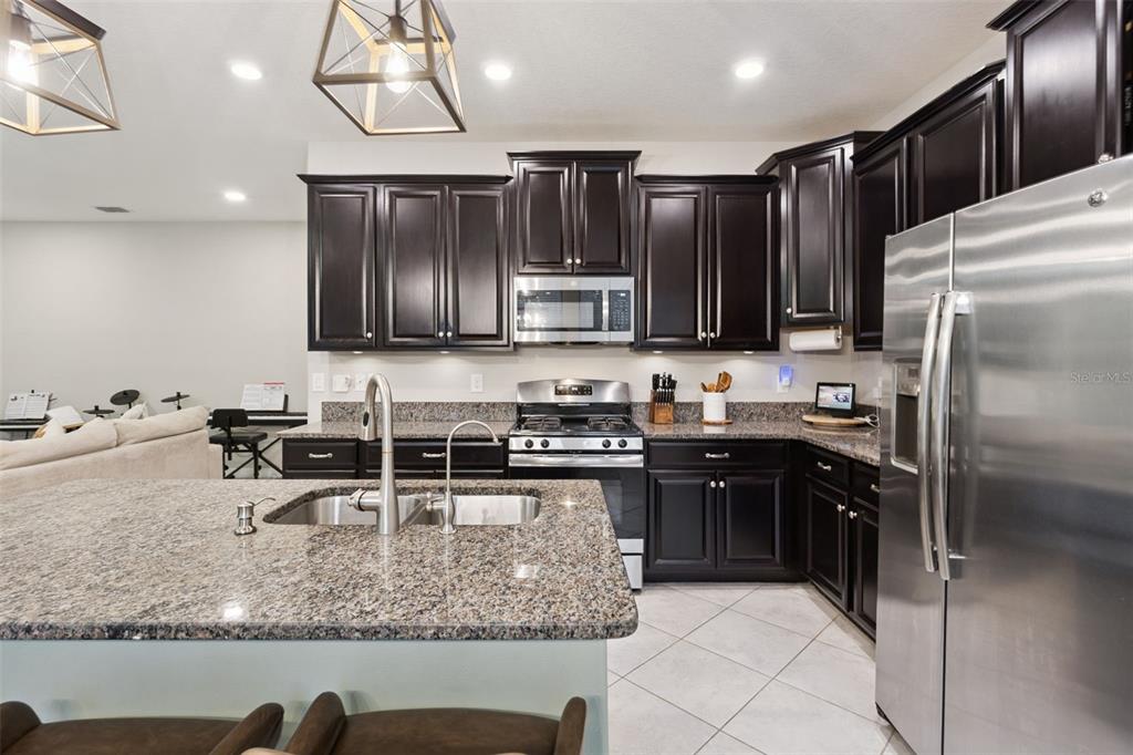 8816 Shady Pavillion Court Land O Lakes, FL 34637 - Photo 17 of 64 a kitchen with stainless steel appliances granite countertop a sink refrigerator and cabinets