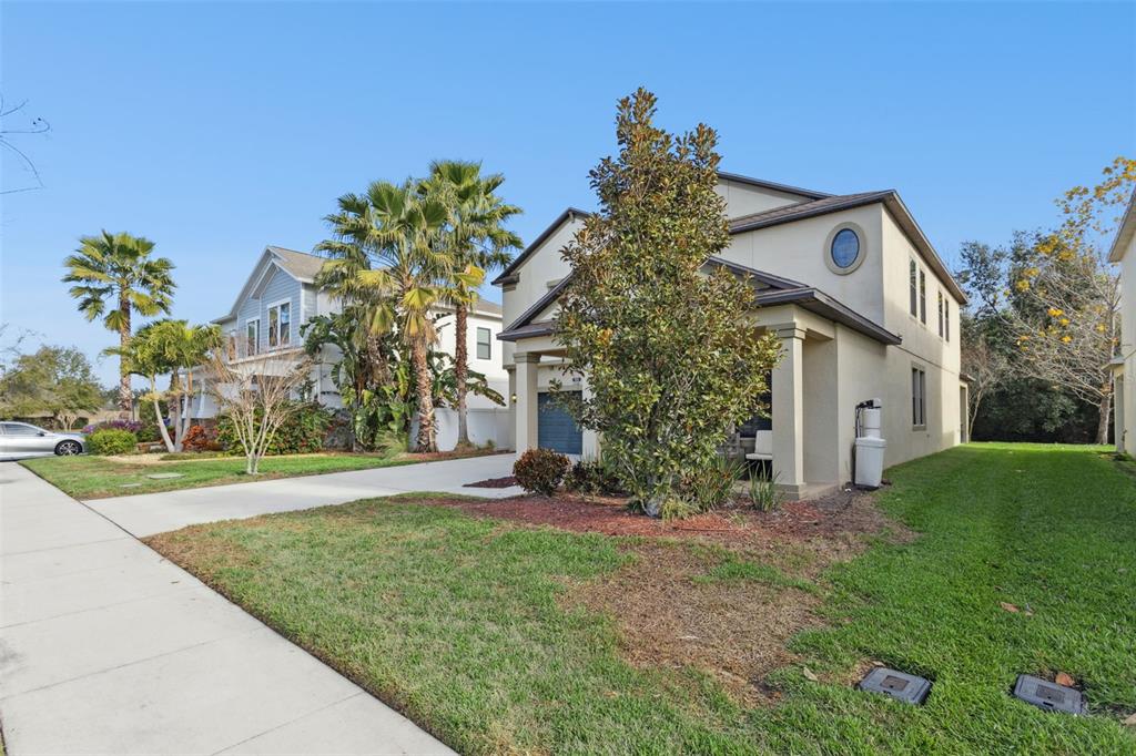 8816 Shady Pavillion Court Land O Lakes, FL 34637 - Photo 2 of 64 a front view of a house with garden