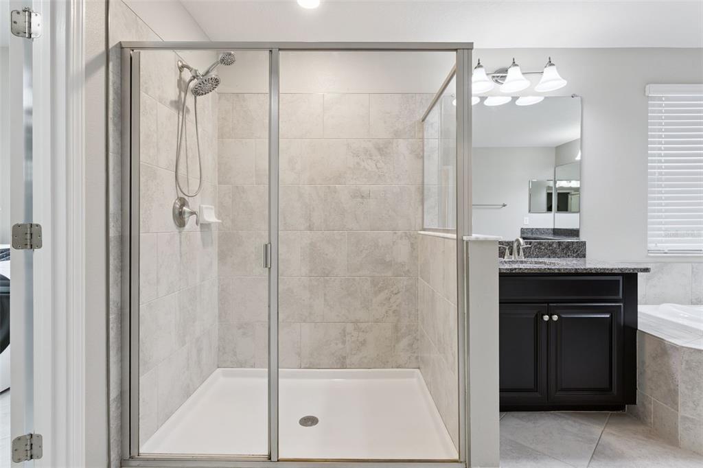 8816 Shady Pavillion Court Land O Lakes, FL 34637 - Photo 34 of 64 a bathroom with a shower sink and mirror