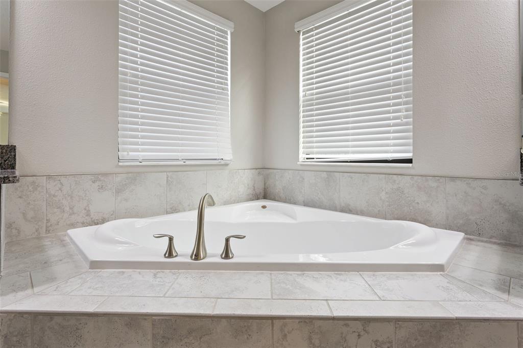 8816 Shady Pavillion Court Land O Lakes, FL 34637 - Photo 36 of 64 a white bath tub sitting in a bathroom next to a window