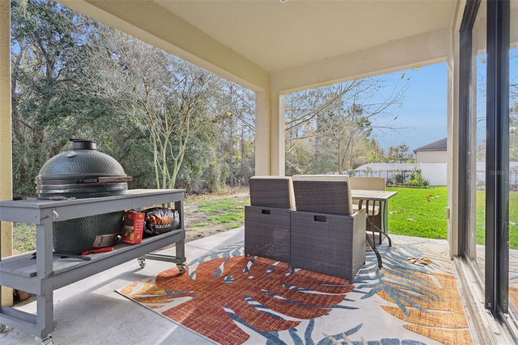 8816 Shady Pavillion Court Land O Lakes, FL 34637 - Photo 43 of 64 a living room with furniture