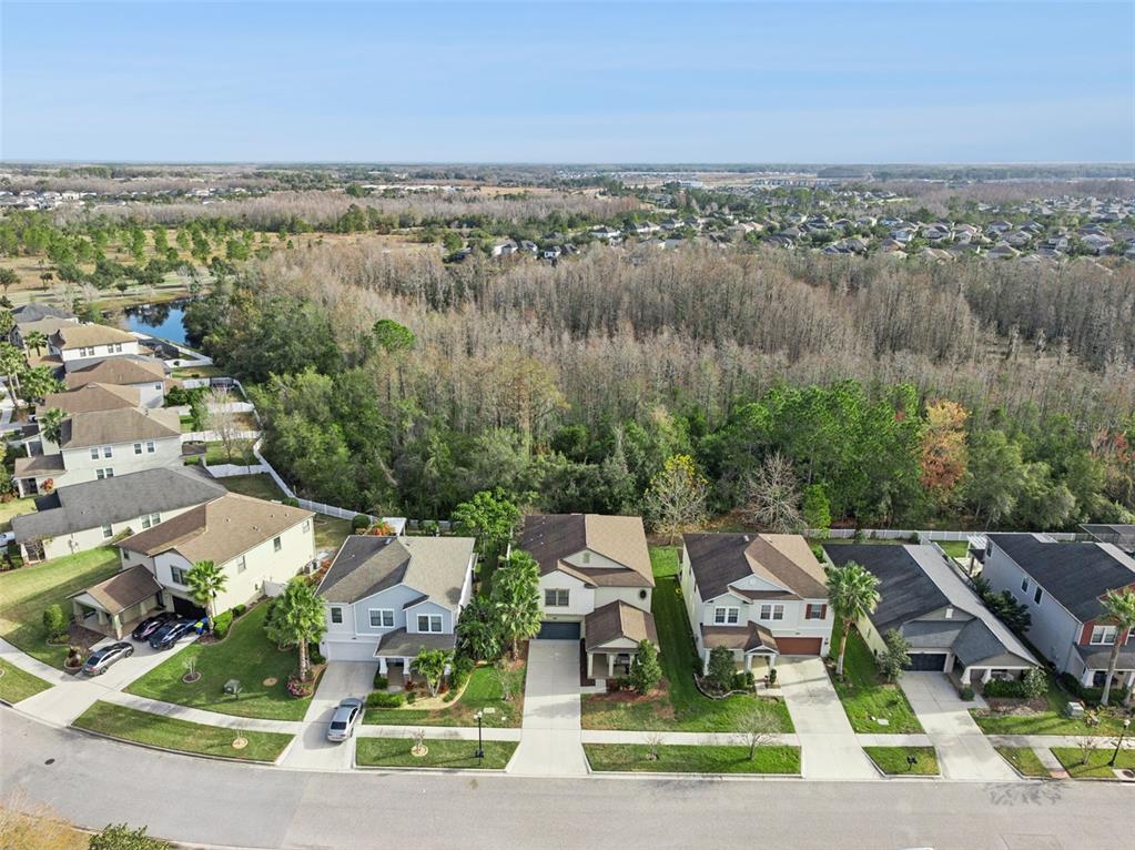 8816 Shady Pavillion Court Land O Lakes, FL 34637 - Photo 49 of 64 an aerial view of multiple house