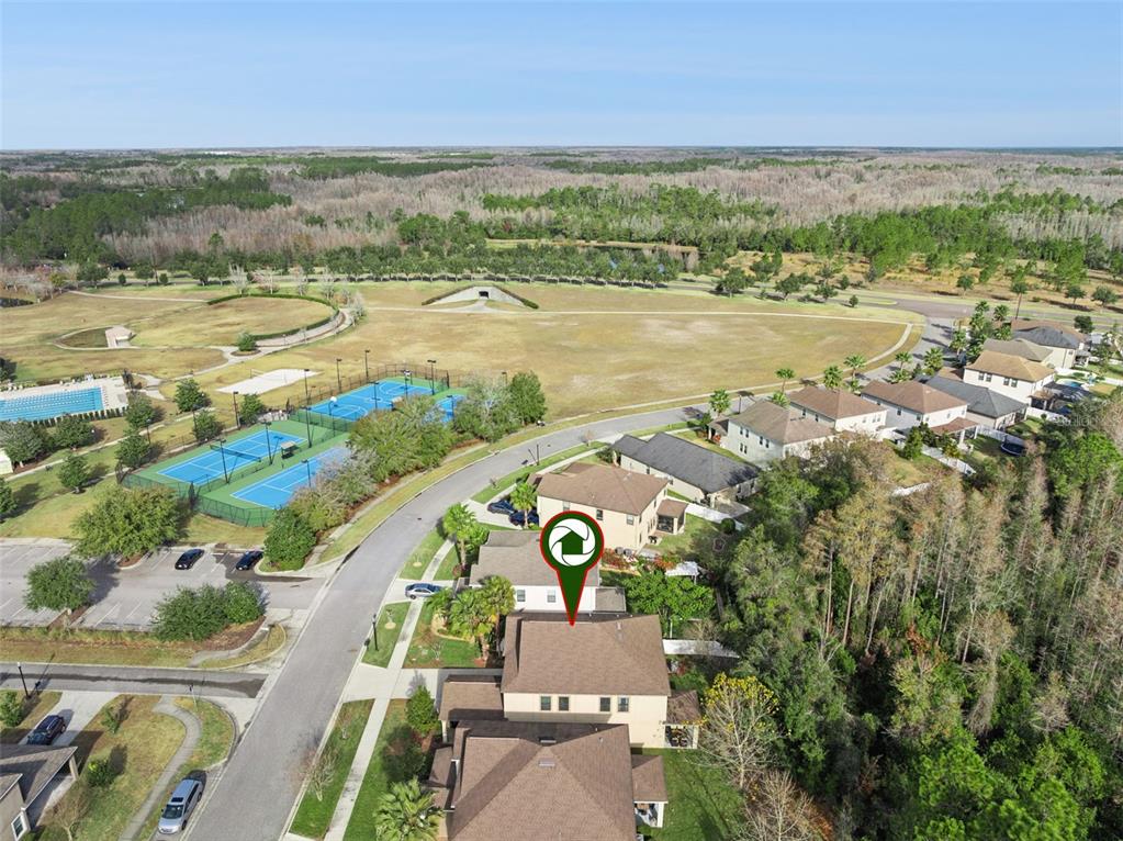 8816 Shady Pavillion Court Land O Lakes, FL 34637 - Photo 55 of 64