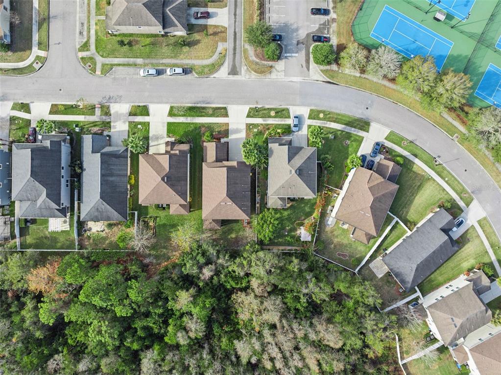 8816 Shady Pavillion Court Land O Lakes, FL 34637 - Photo 56 of 64