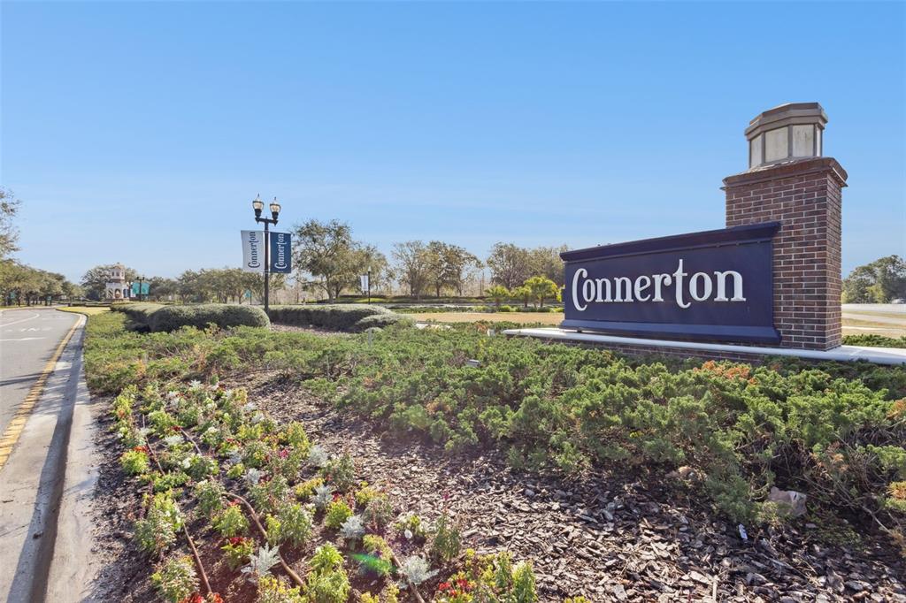 8816 Shady Pavillion Court Land O Lakes, FL 34637 - Photo 58 of 64