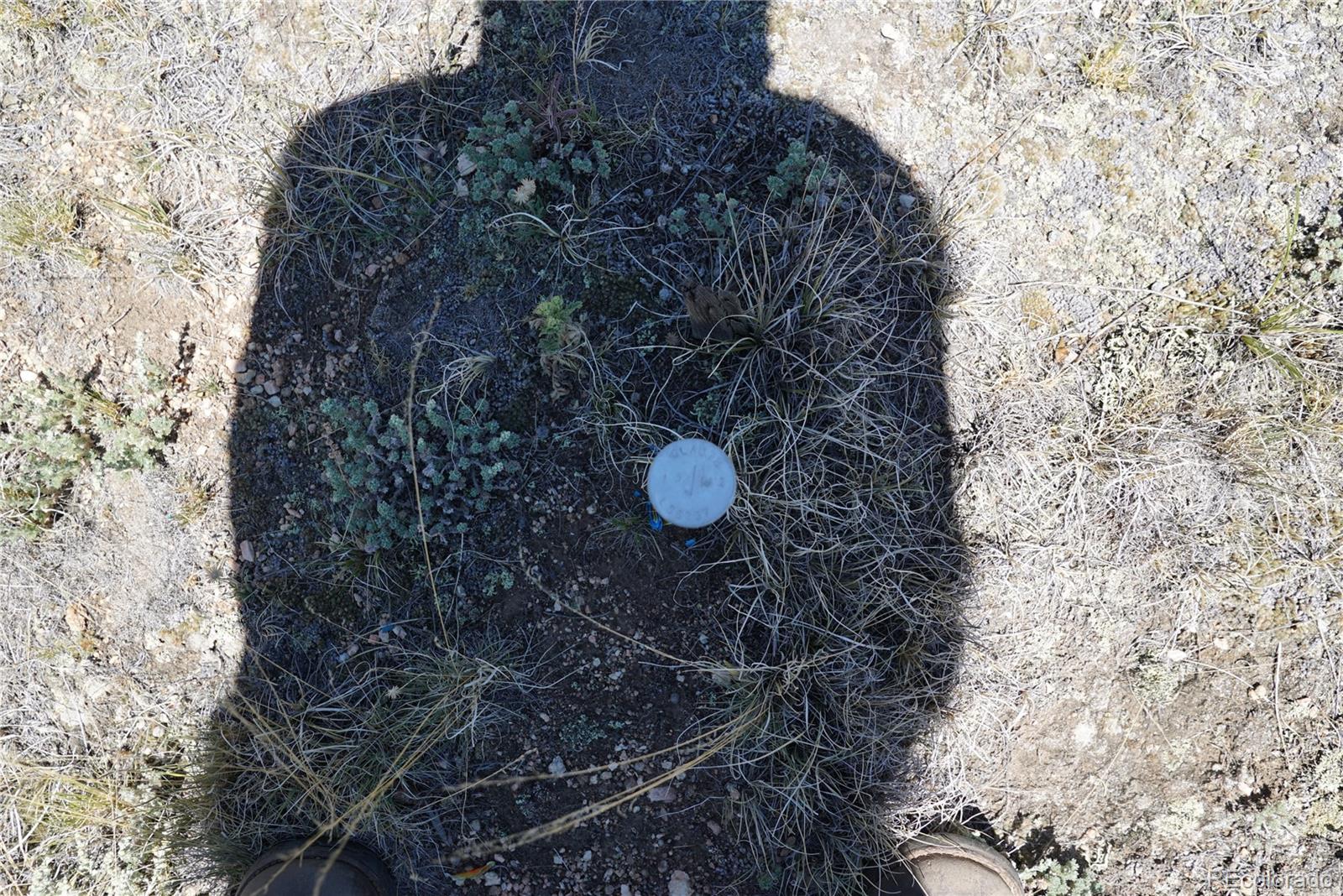 1201 Pinto Trail Como, CO 80456 - Photo 5 of 6