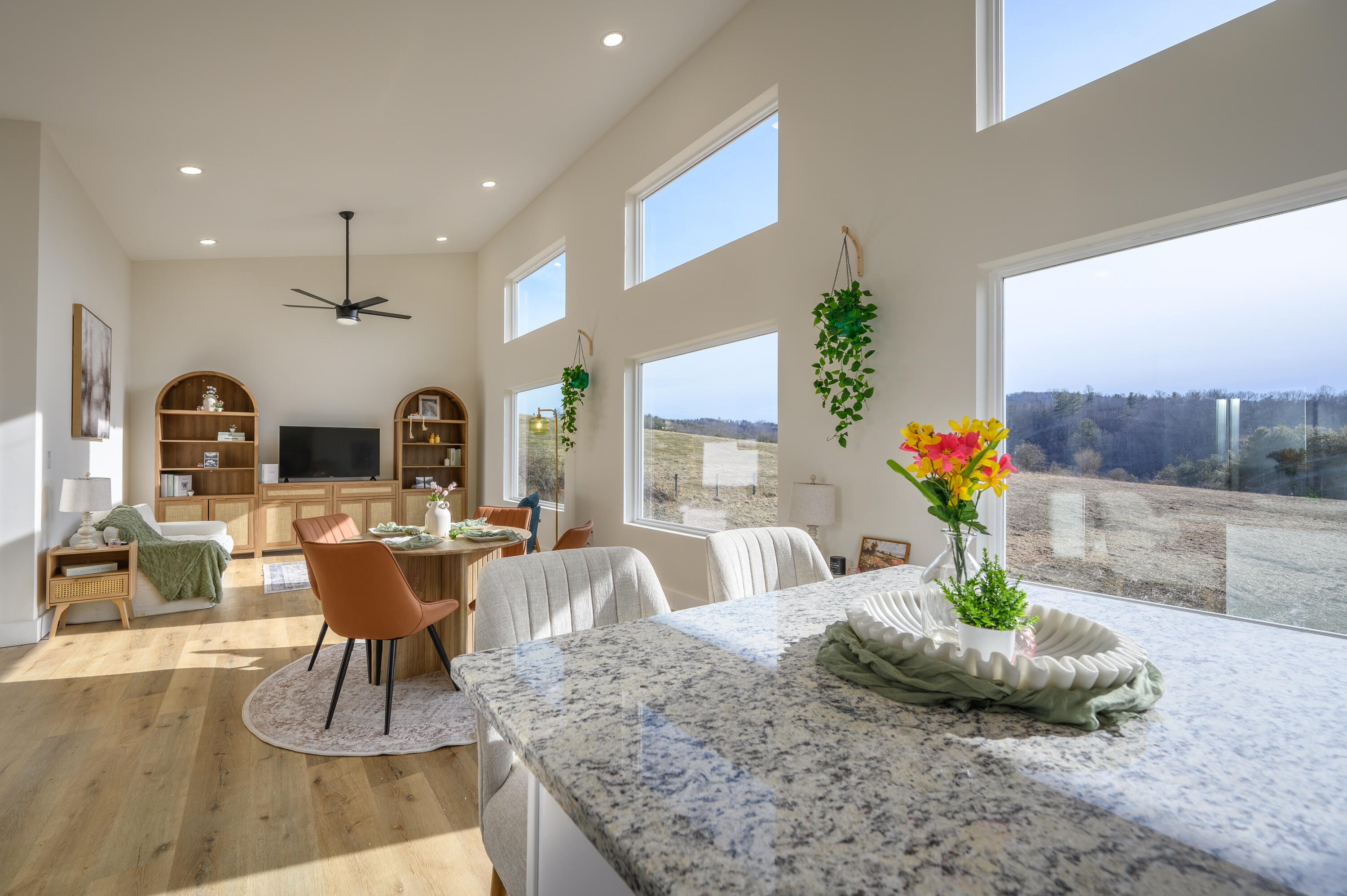 320 Grace Lane Northeast Riner, VA 24149 - Photo 27 of 33 a living room with furniture