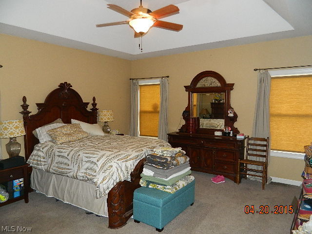 42125 Biggs Road Lagrange, OH 44050 - Photo 13 of 25 Gallery Image 13