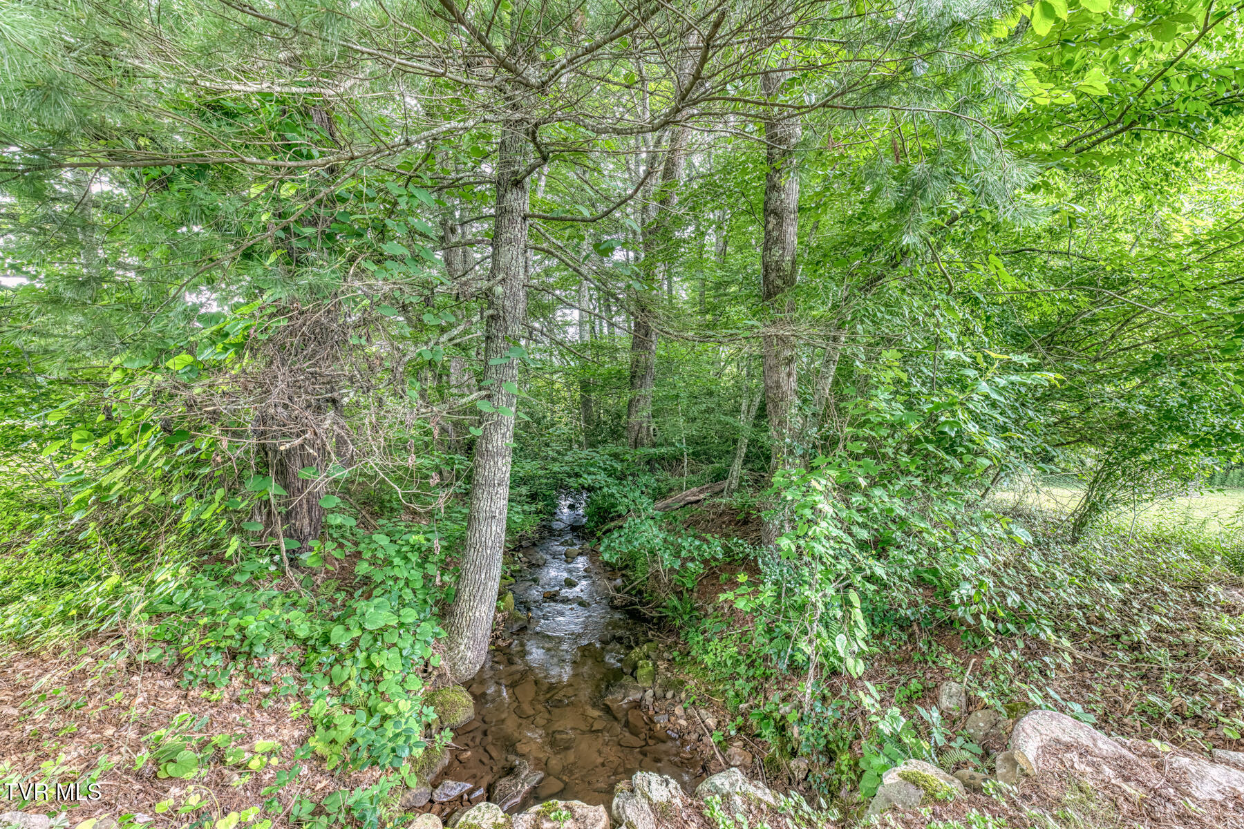 1678 Sluder Road Shady Valley, TN 37688 - Photo 93 of 110 1678 Sluder Rd-93