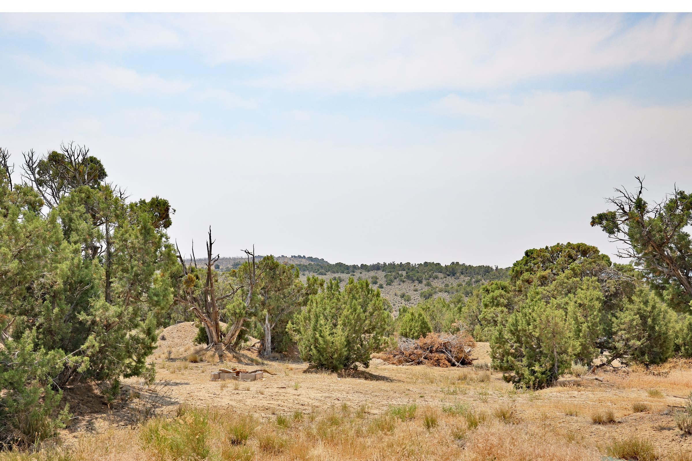 1775 35 1/10 Road De Beque, CO 81630 - Photo 36 of 36