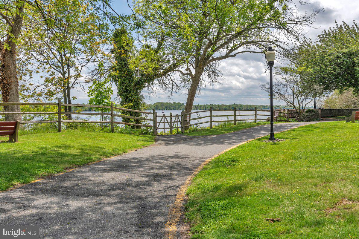 46202 Delaire Landing Road, Unit 202 Philadelphia, PA 19114 - Photo 26 of 34 a view of a park with tree s