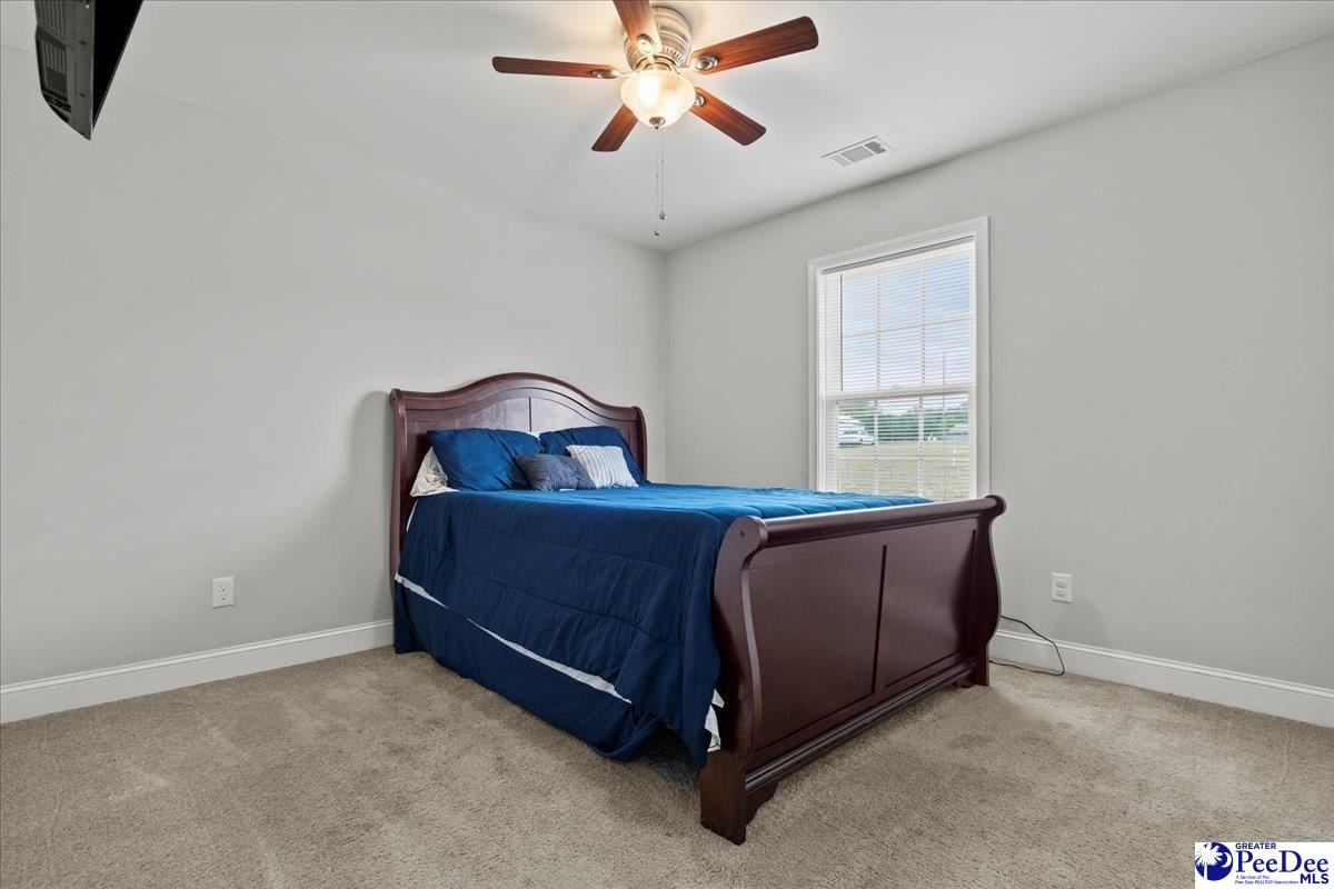 309 Pocosin Road Latta, SC 29565 - Photo 17 of 26 Gallery Image 17