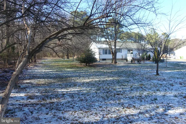 a backyard of a house with large trees